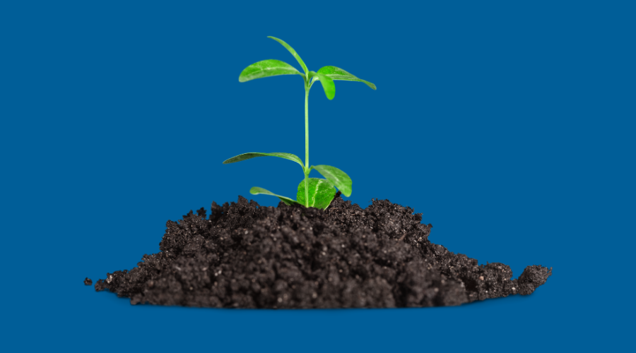 Sprout coming out of soil on blue background